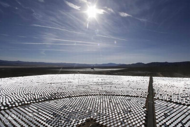 世界最大太阳能发电站成鸟类死亡陷阱